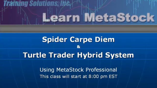 Spider Carpe Diem and the Turtle Hybrid System